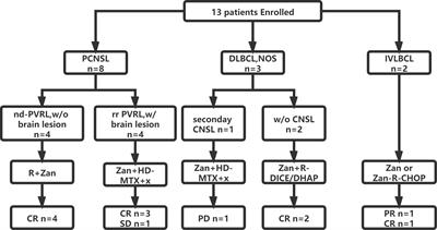 Preliminary Evaluation of Zanubrutinib-Containing Regimens in DLBCL and the Cerebrospinal <mark class="highlighted">Fluid Distribution</mark> of Zanubrutinib: A 13-Case Series